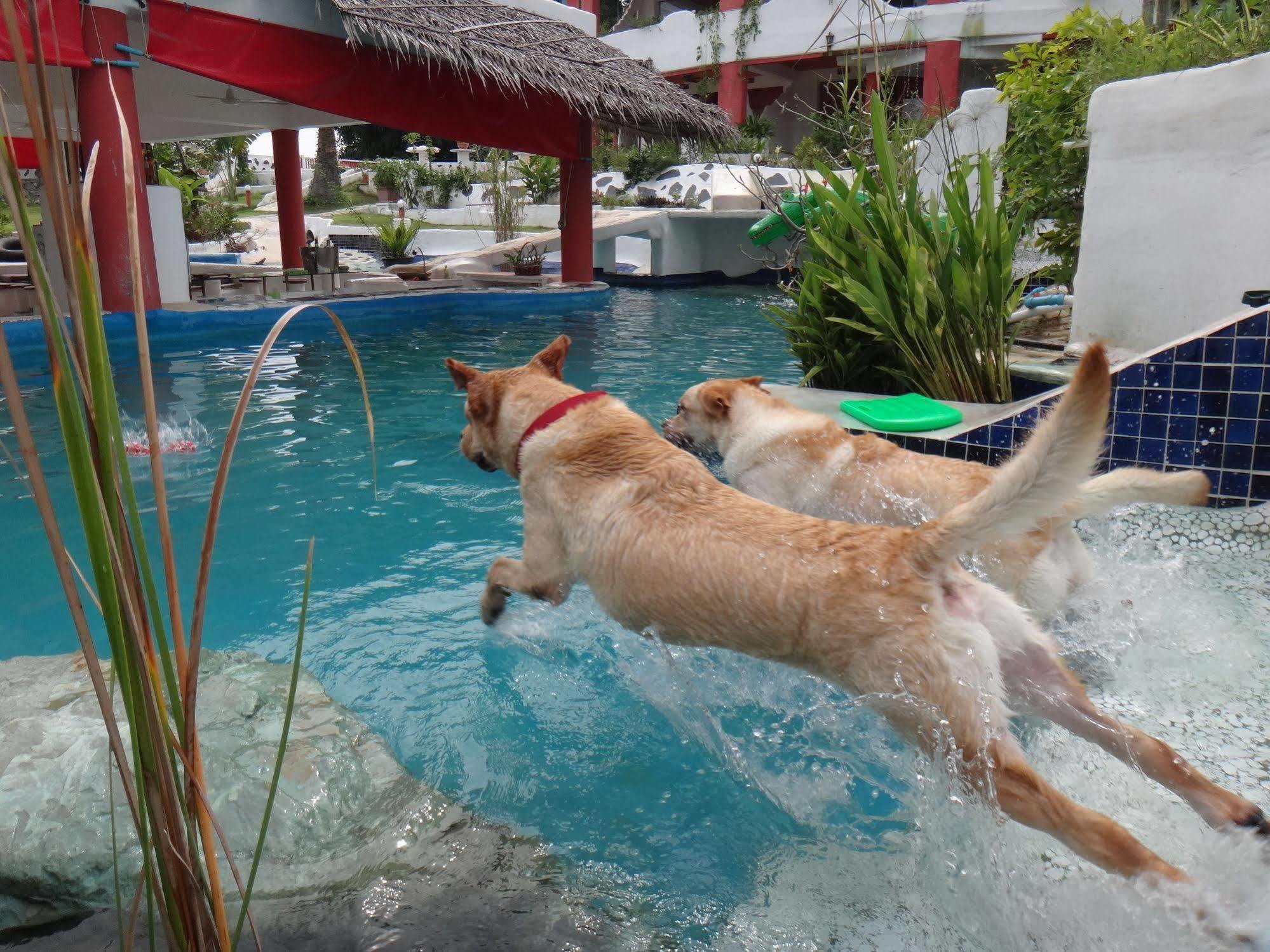 Mirabel Club Resort Jomtien Beach Eksteriør billede